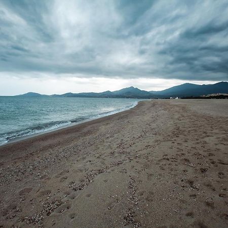 Appartement T2 Les Pieds Dans L'Eau A Argelès-sur-Mer Eksteriør billede